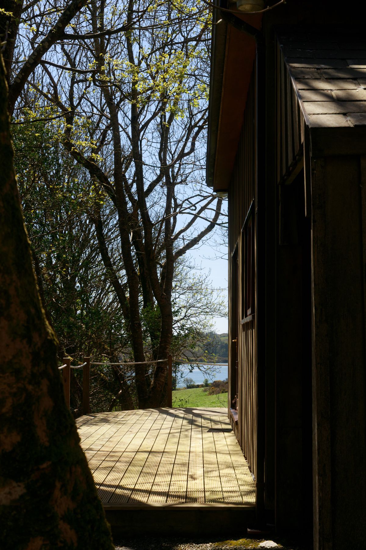 The woodland path to the houses