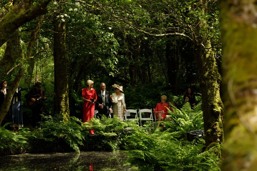 Guests gathered on the lawn