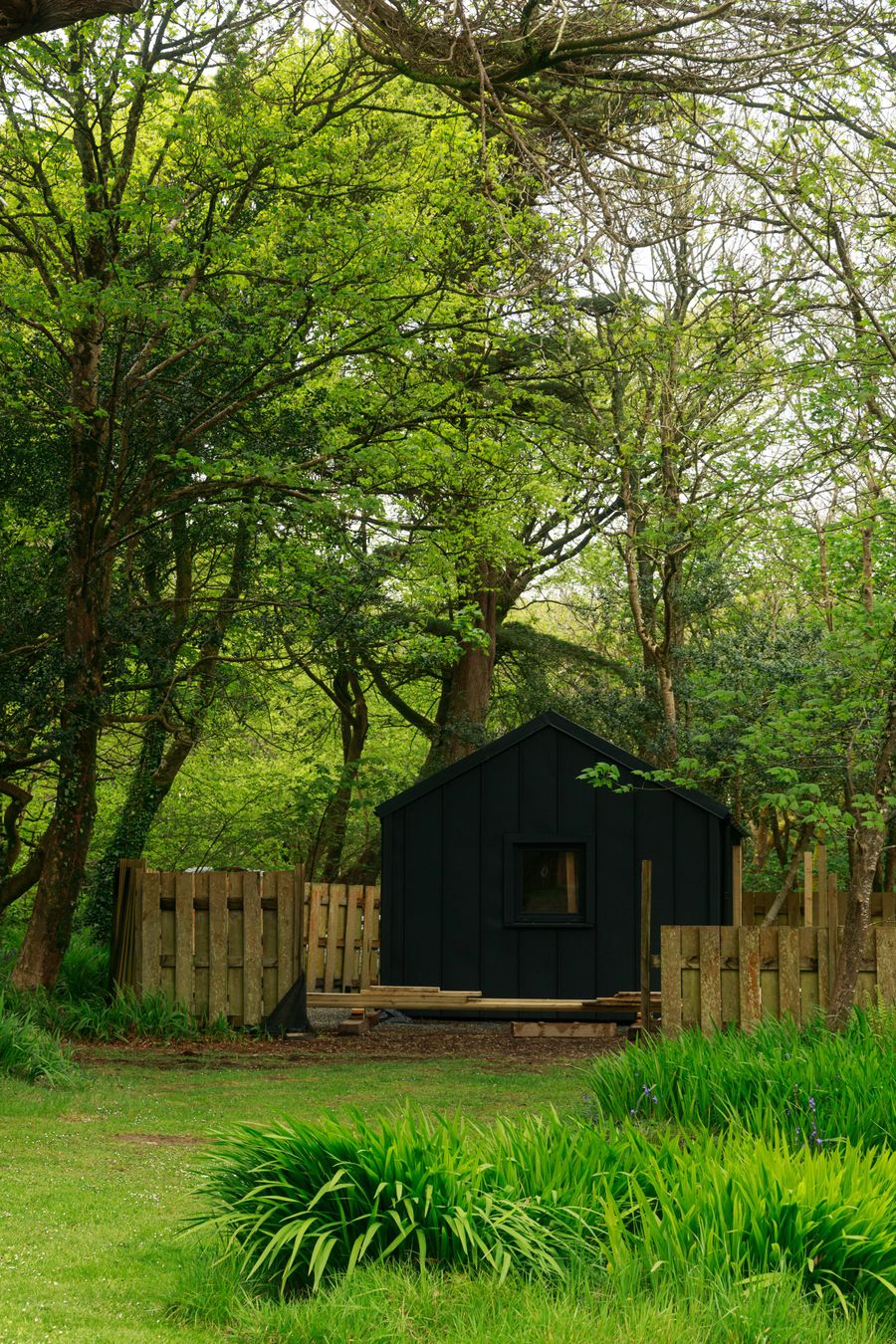 A dark timber cabin in a clearing, new decking laid at its door